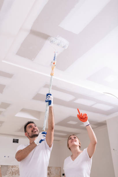 Mold Remediation for Vacation Homes in Uhrichsville, OH